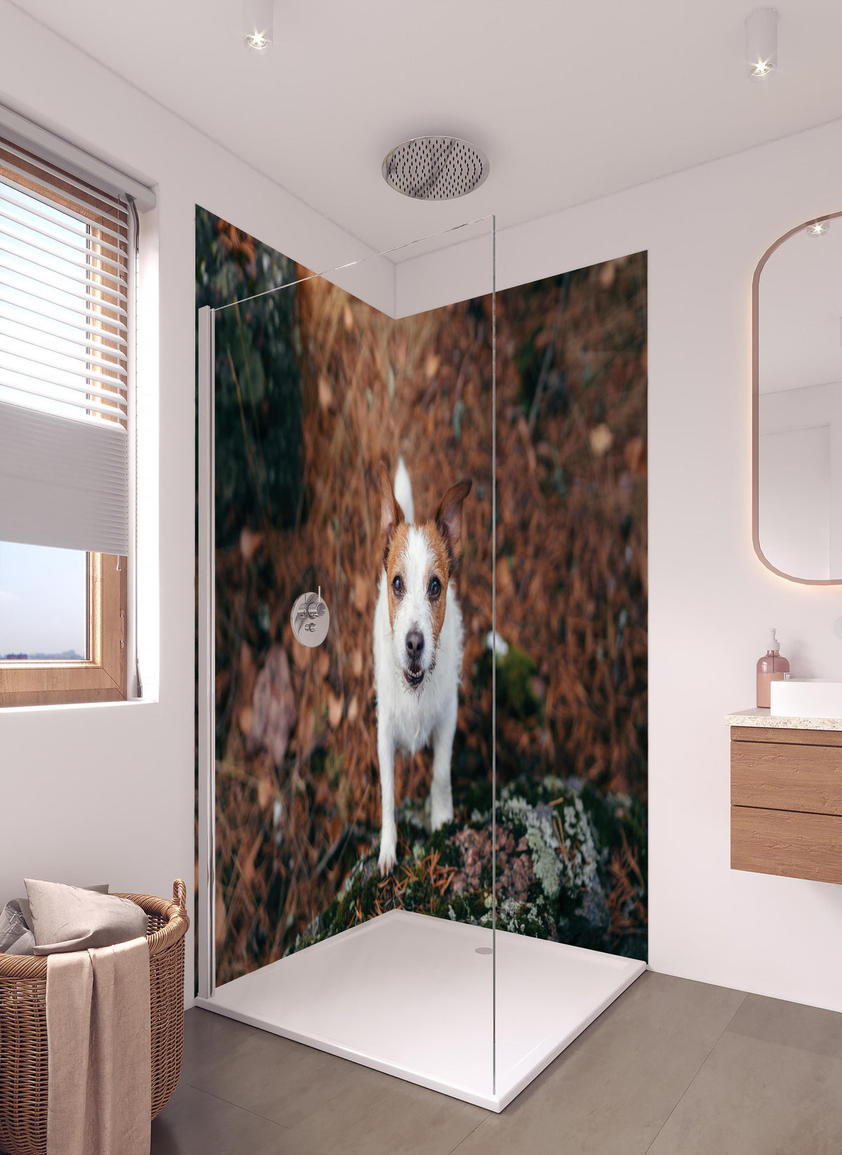 Duschrückwand - Jack Russell im herbstlichen Park in hellem Badezimmer mit Regenduschkopf - zweiteilige Eck-Duschrückwand