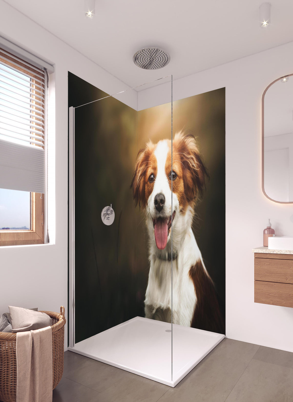 Duschrückwand - Porträt eines niedlichen Kooiker-Hundes in hellem Badezimmer mit Regenduschkopf - zweiteilige Eck-Duschrückwand