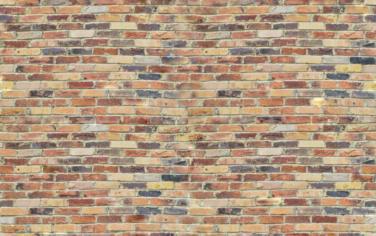 Duschrückwand-Wand aus farbigen Ziegeln