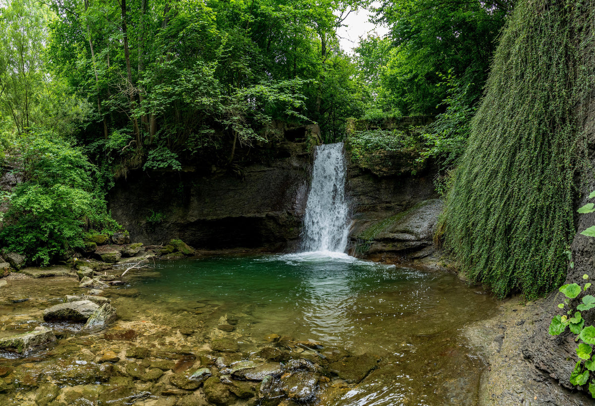 Duschrückwand-Wasserfall im Wald - Utopie