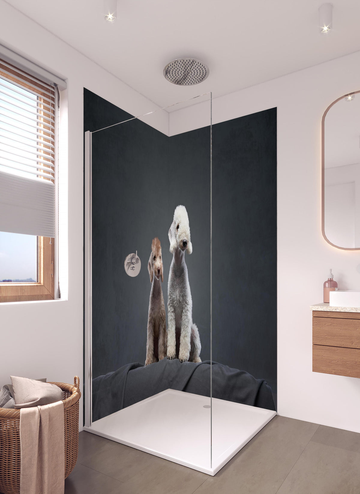 Duschrückwand - Welpe und erwachsener Bedlington Terrier in hellem Badezimmer mit Regenduschkopf - zweiteilige Eck-Duschrückwand