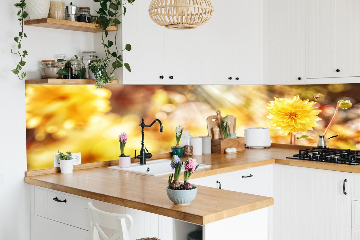 Küche - Gelbe Dahlie in lebendiger Küche mit bunten Blumen
