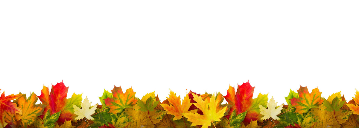 Küchenrückwand-Herbst Laub