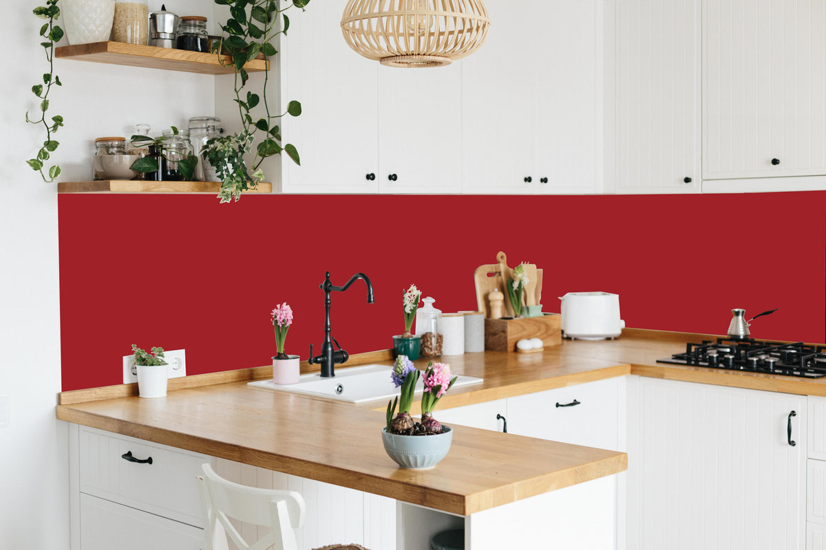Küche - RAL 3001 (Signalrot) in lebendiger Küche mit bunten Blumen