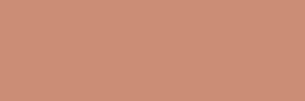 Küchenrückwand-RAL 3012 (Beige-Rot)