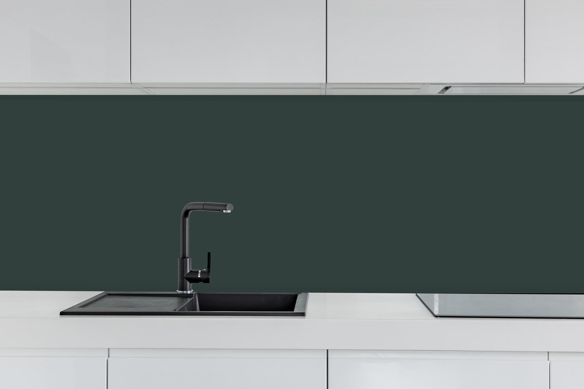 Küche - RAL 6012 (Schwarzgrün) hinter weißen Hochglanz-Küchenregalen und schwarzem Wasserhahn