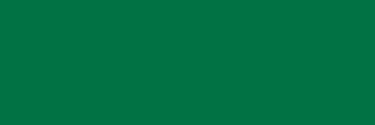 Küchenrückwand-RAL 6029 (Mintgrün)