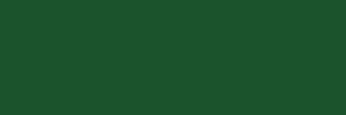 Küchenrückwand-RAL 6035 (Perlgrün)