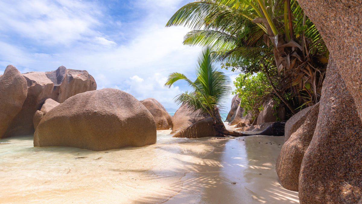 Office Poster-Der Traumstrand - Anse Source d Argent