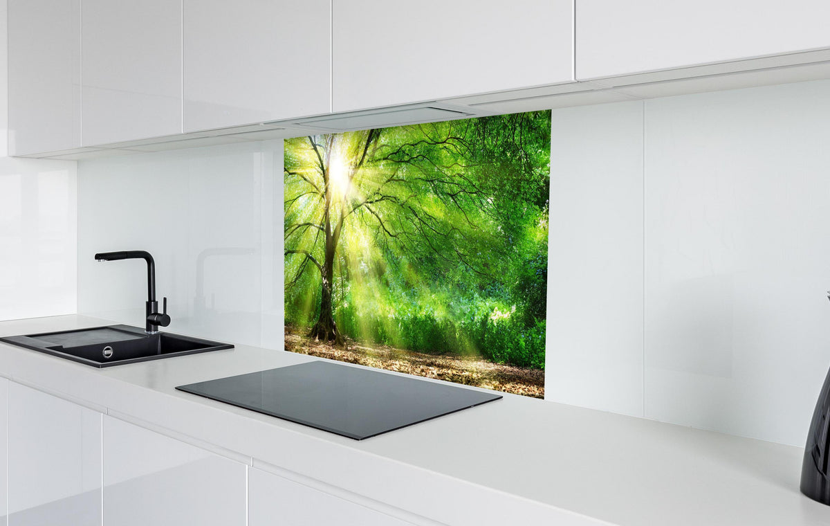 Spritzschutz - Energiegeladener Wald in weißer Hochglanz-Küche hinter einem Cerankochfeld