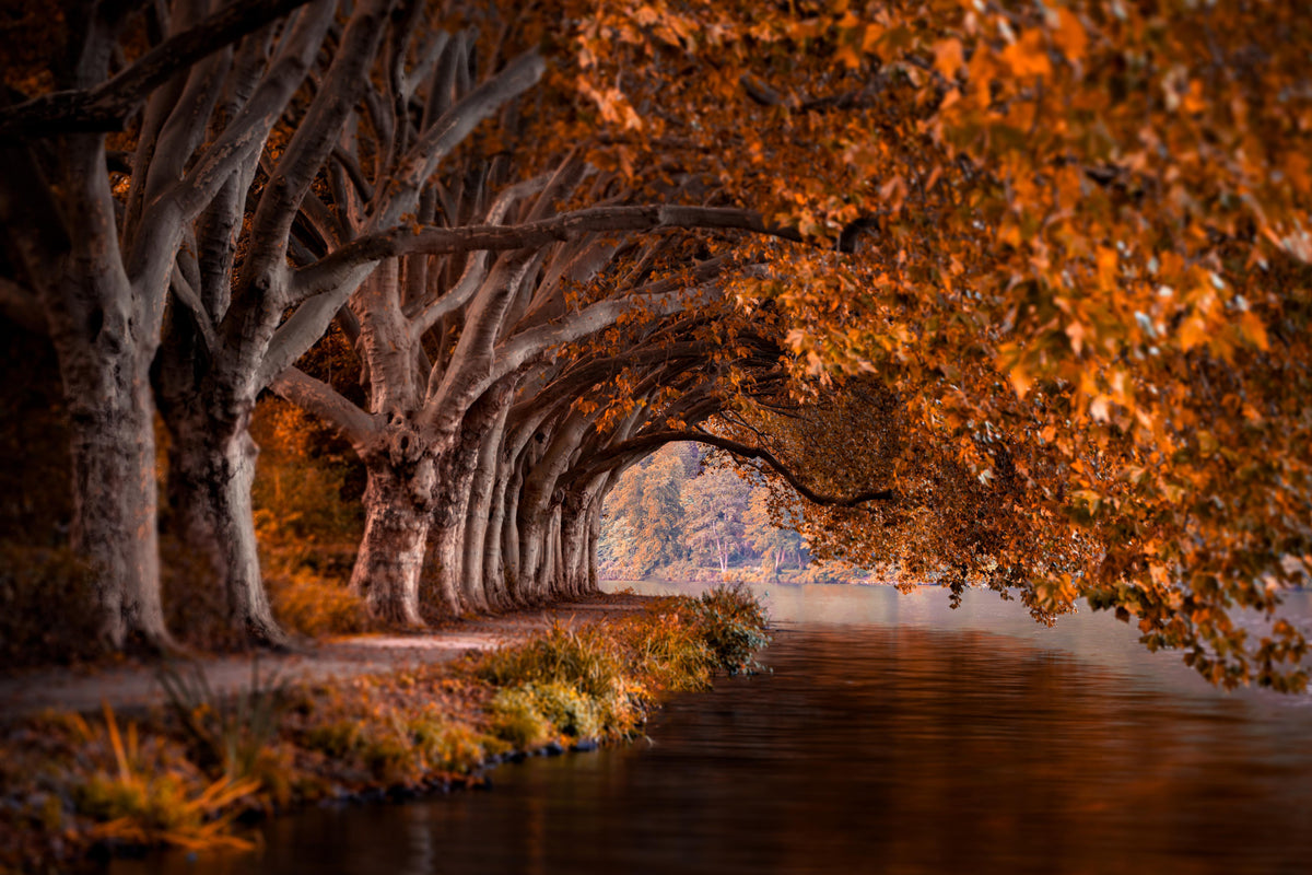 Duschrückwand-Baldeneysee in Essen im Herbst