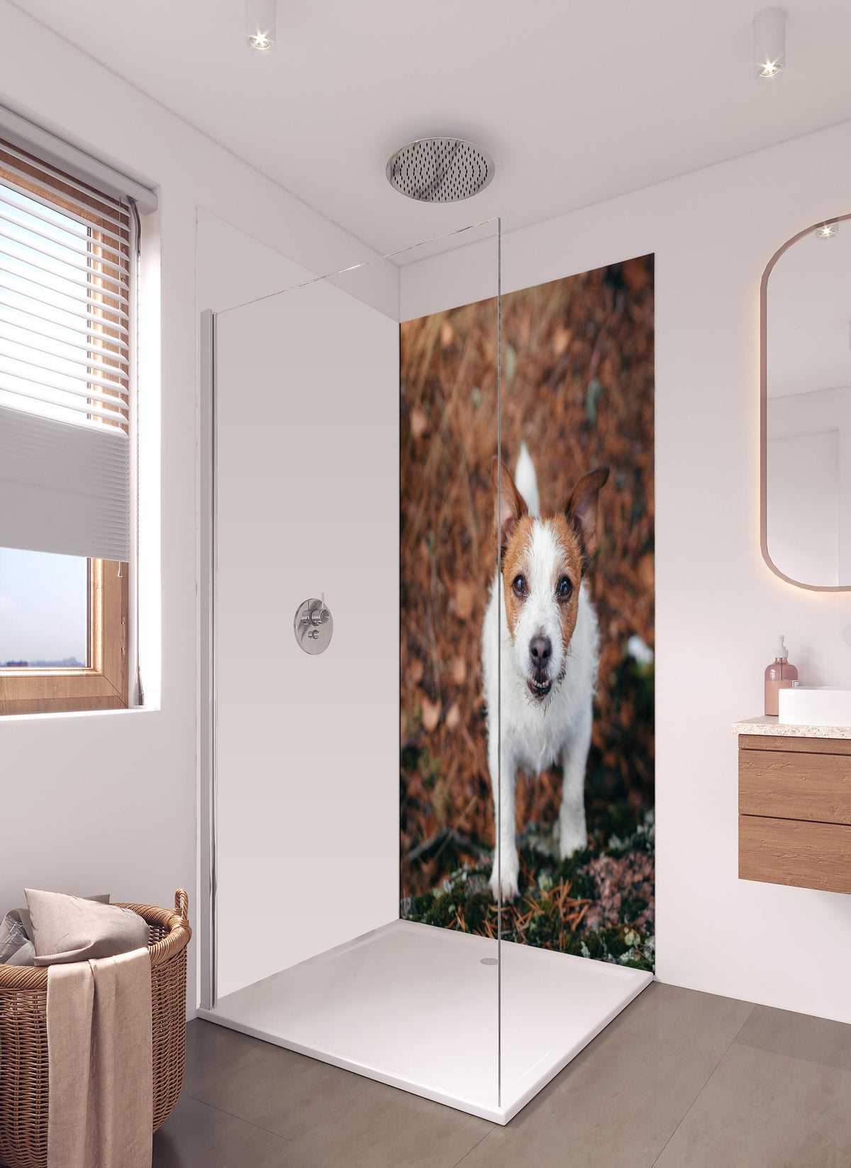 Duschrückwand - Jack Russell im herbstlichen Park in hellem Badezimmer mit Regenduschkopf - einteilige Duschrückwand
