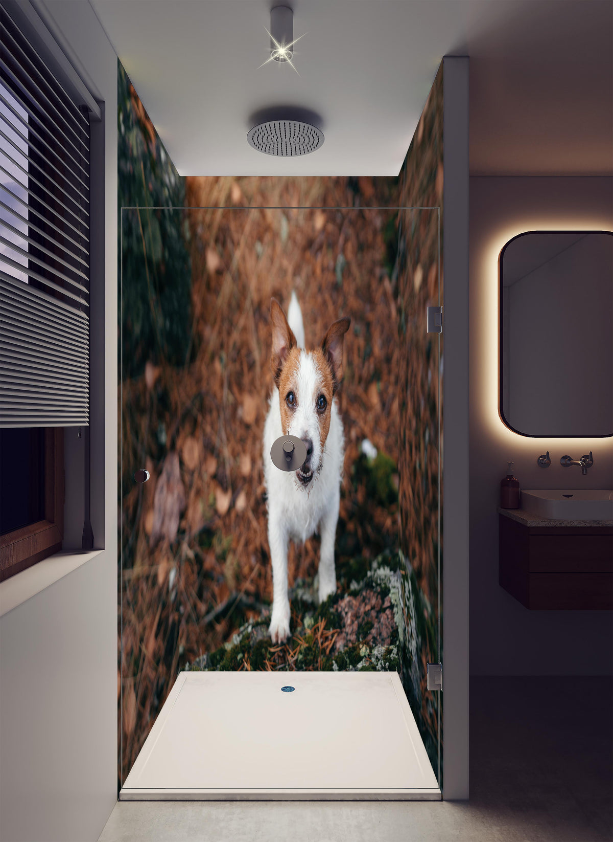 Duschrückwand - Jack Russell im herbstlichen Park in luxuriöser Dusche mit Regenduschkopf