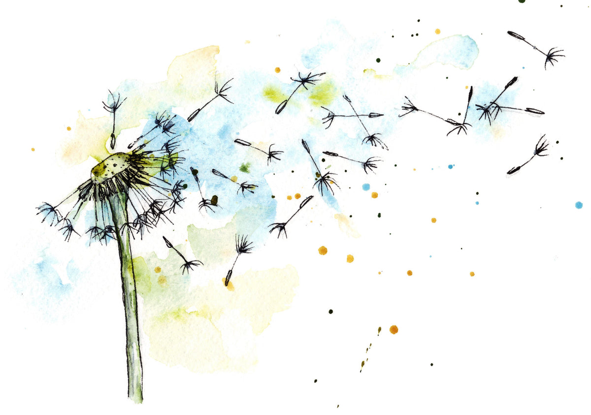 Duschrückwand-Löwenzahn Aquarell