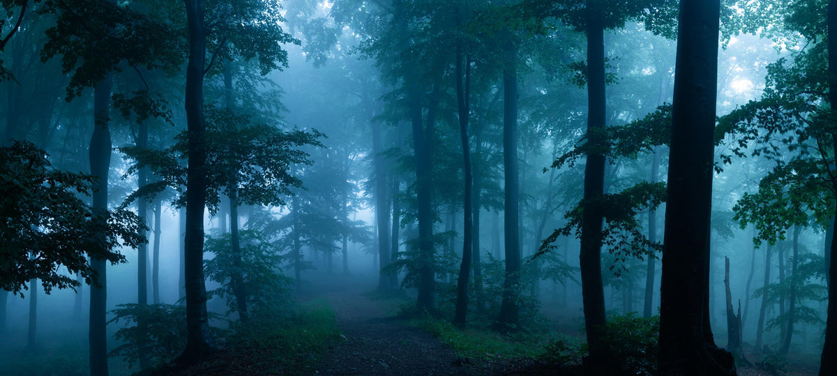 Küchenrückwand-Nebliger Wald