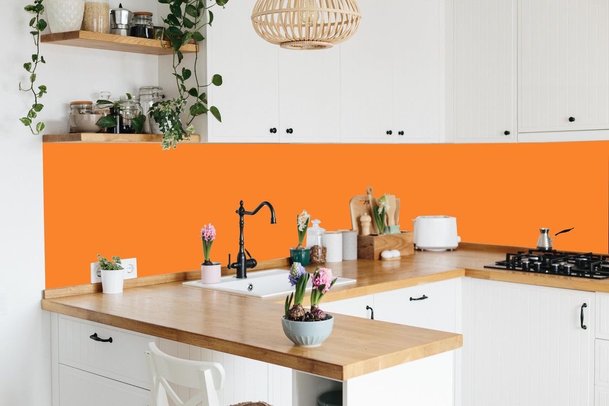 Küche - RAL 2003 (Pastellorange) in lebendiger Küche mit bunten Blumen