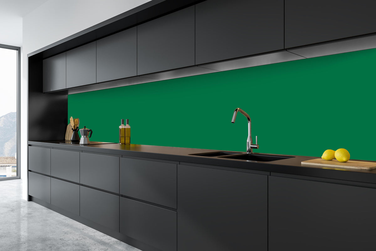 Küche - RAL 6029 (Mintgrün) in tiefschwarzer matt-premium Einbauküche