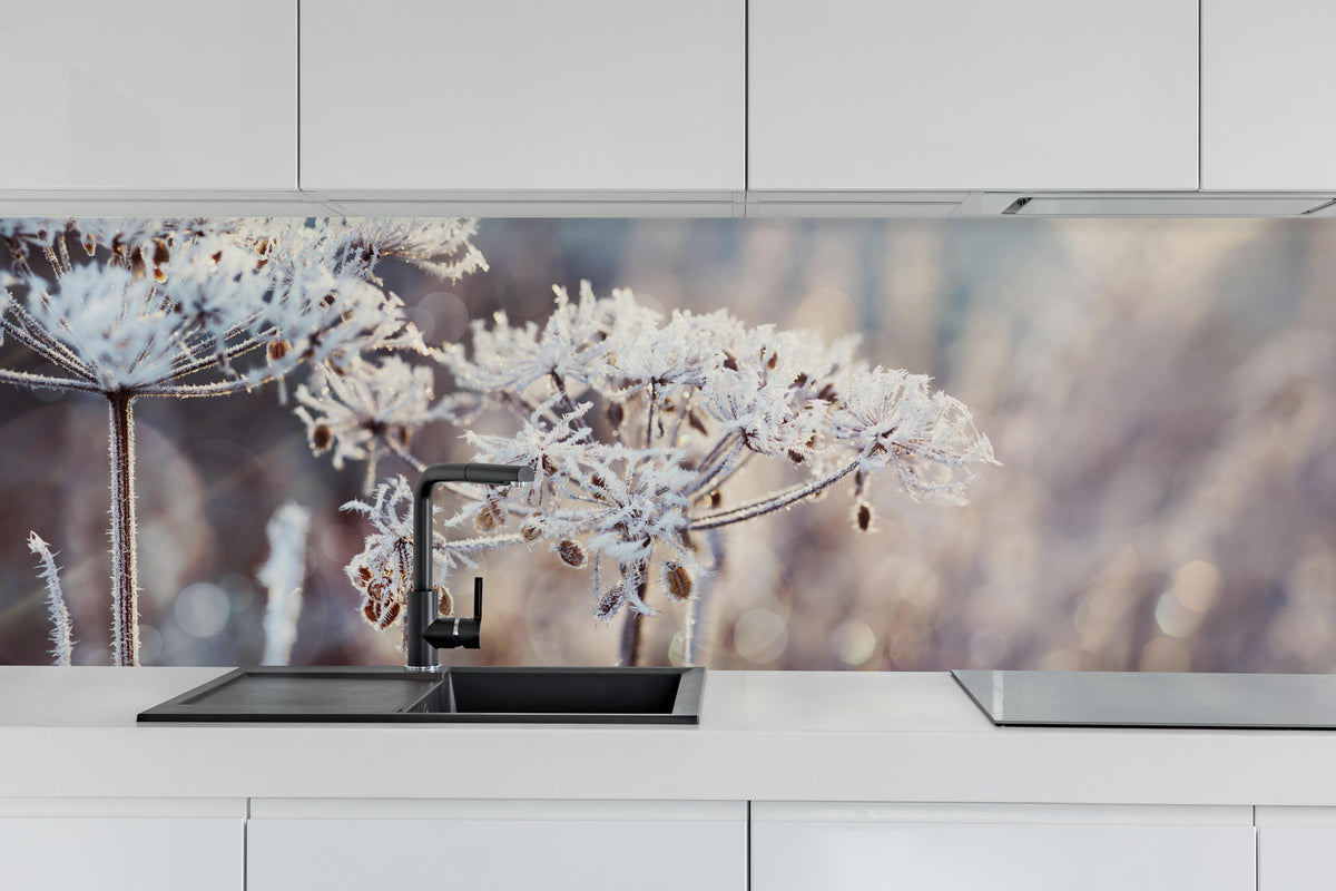 Küche - Schneetau auf Pflanzen hinter weißen Hochglanz-Küchenregalen und schwarzem Wasserhahn