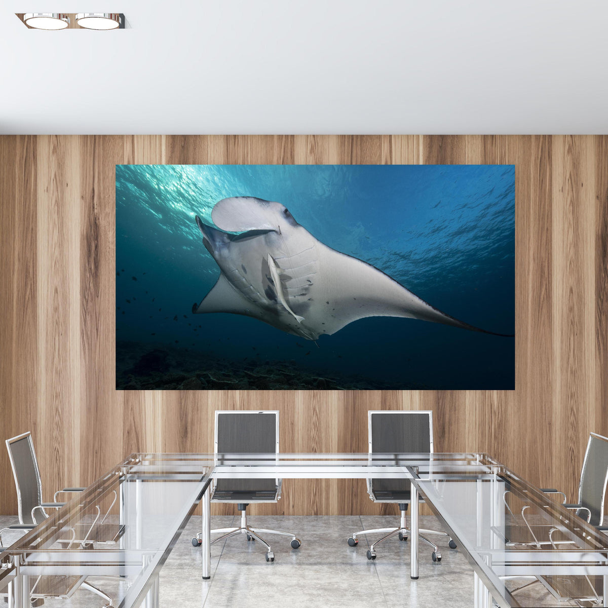 Office Poster  - Riff-Manta Unterwasser in einem Konferenzraum mit Glastisch und Holzwand