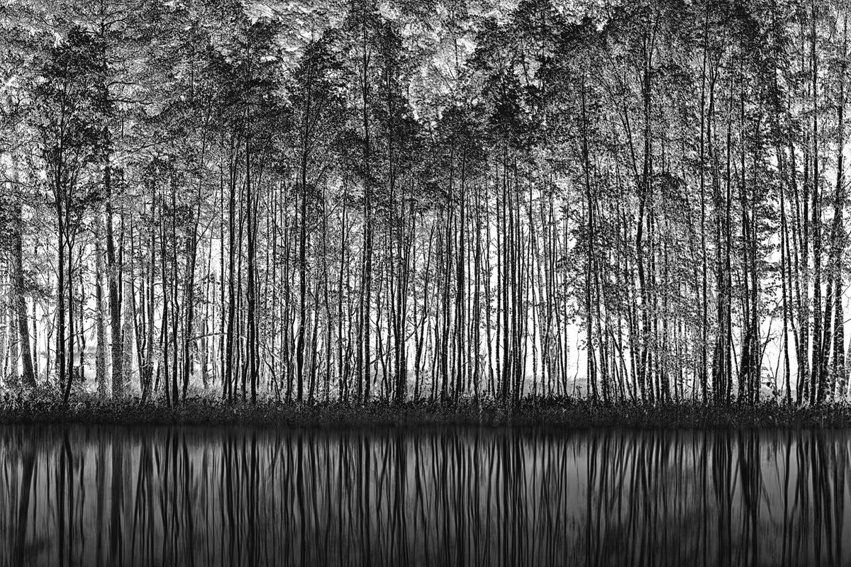 Spritzschutz-Ruhiger Wald - Wasser Reflektion 