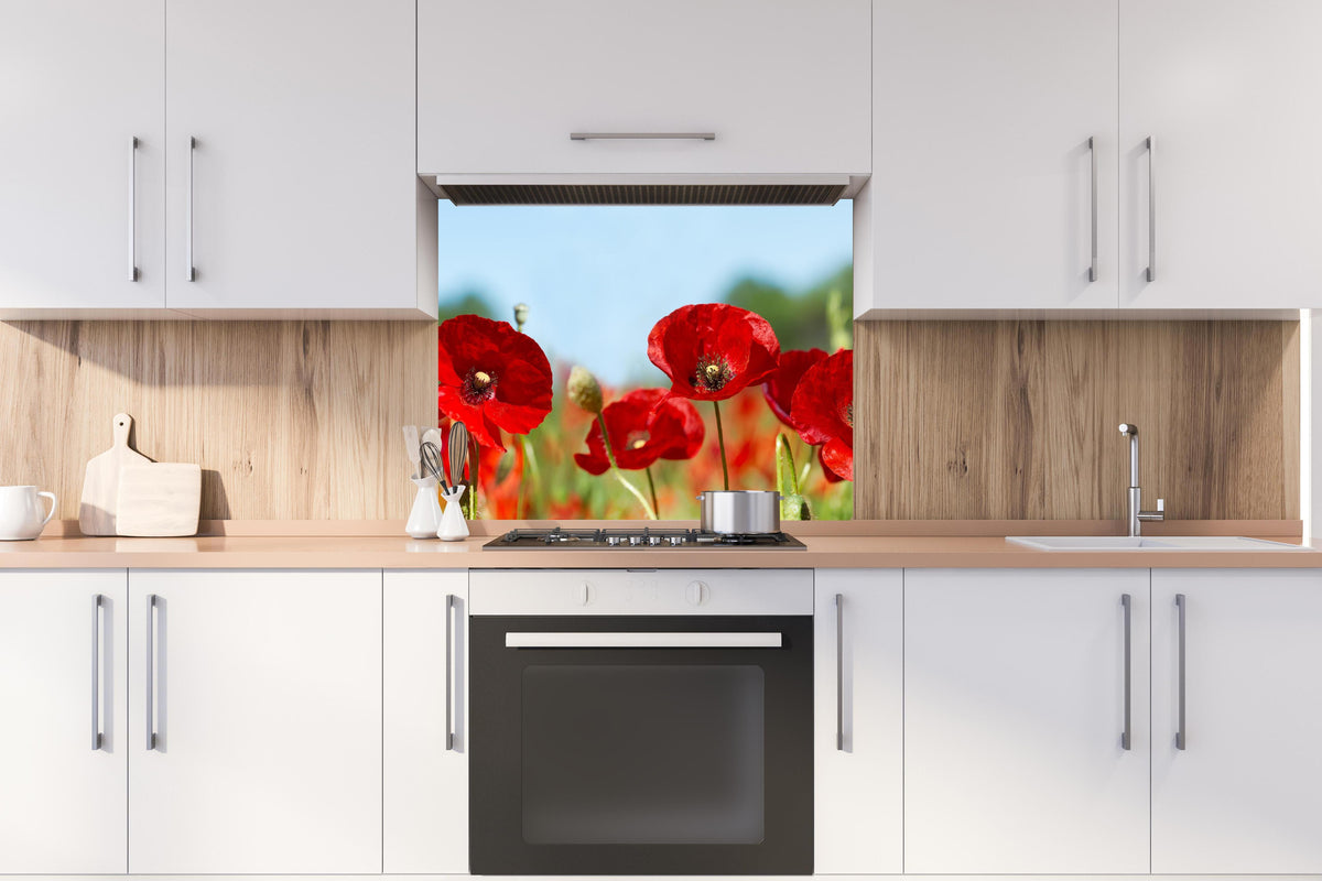 Spritzschutz - Rote Mohnblumen auf einem Feld hinter stilvollem Gasherd unter Dunstabzugshaube