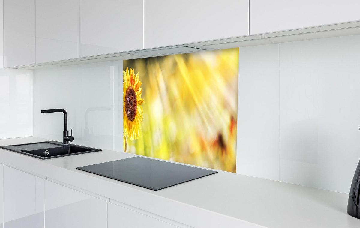 Spritzschutz - Sonnenblume  in weißer Hochglanz-Küche hinter einem Cerankochfeld
