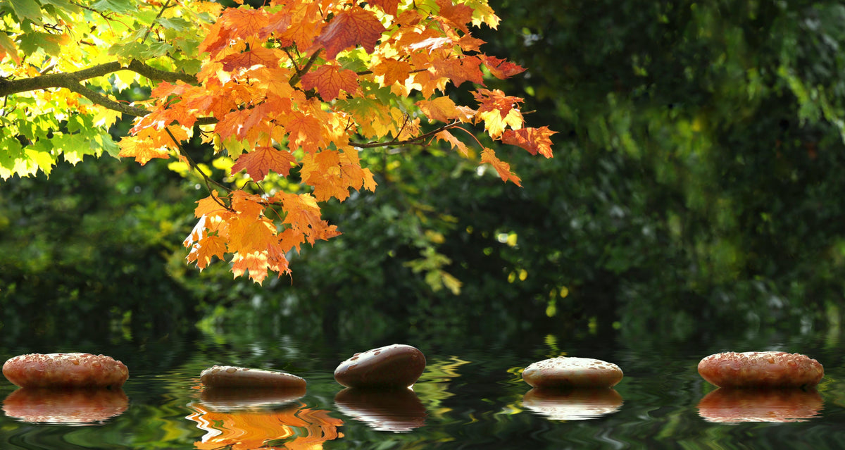Spritzschutz-kraftvolle Steine im Teich